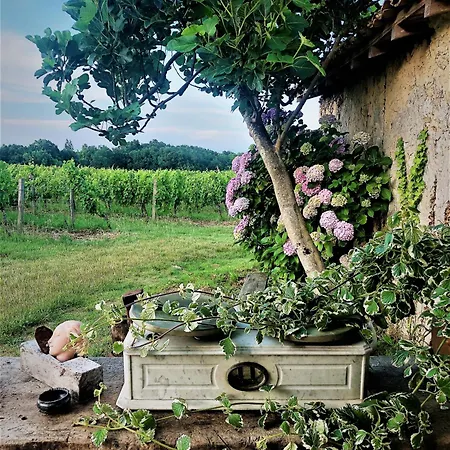 Chateau Le Truch *