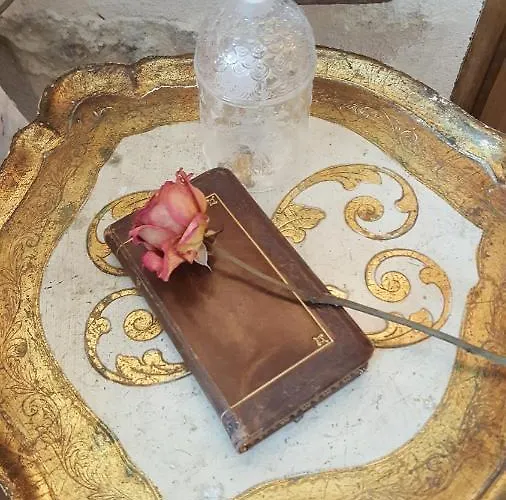 住宿加早餐酒店 Chateau Le Truch